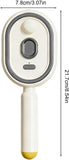 Portable Steam Hair Straightener Brush with Rechargeable Battery