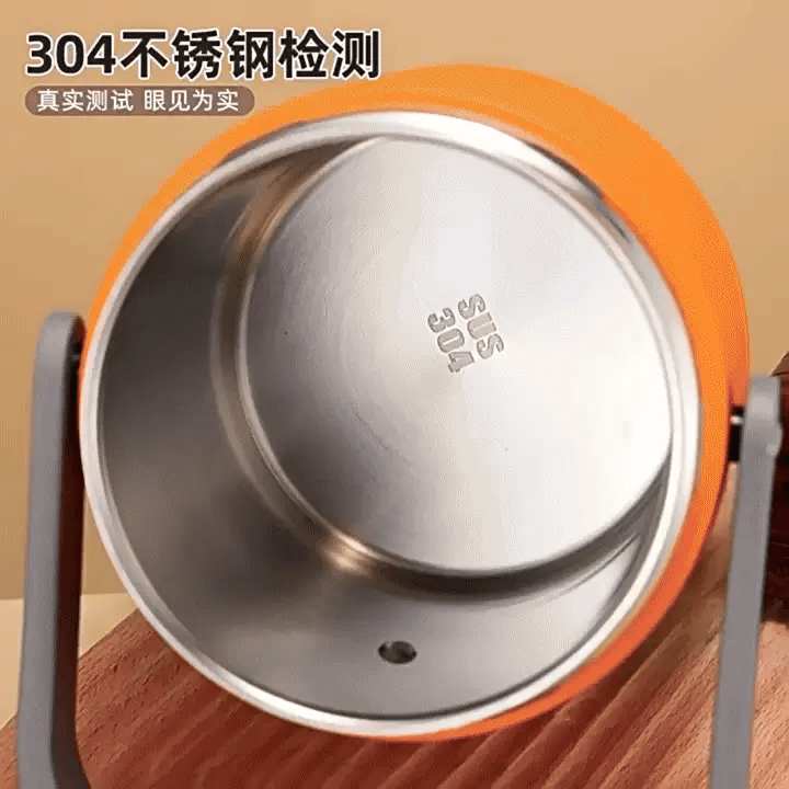 Electric Food Warmer Lunch Box